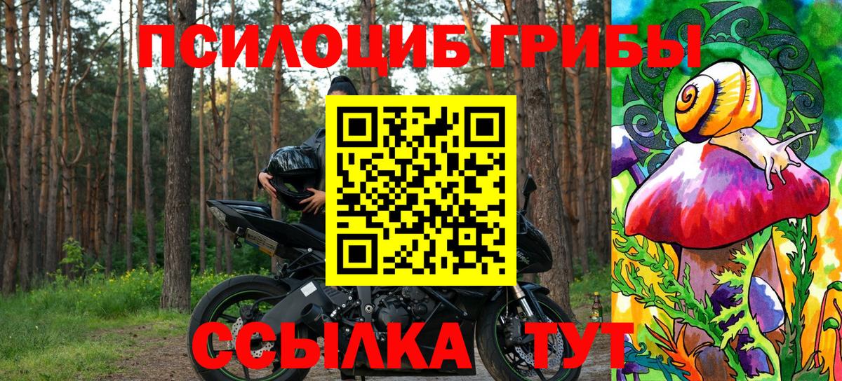 Муром  Галлюциногенные грибы GOLDEN TEACHER  Вход с VPN 