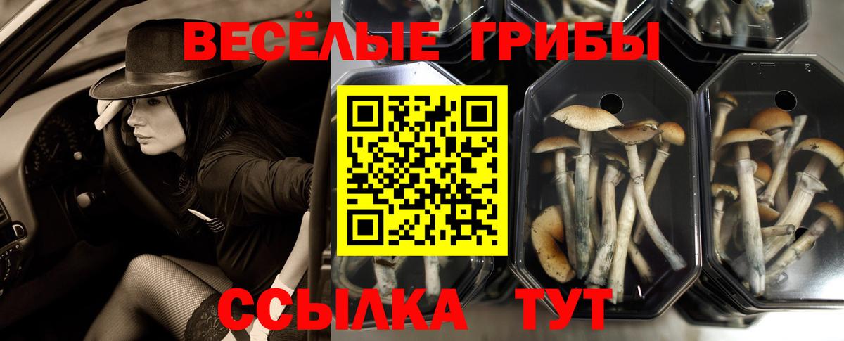 Псилоцибиновые грибы Magic Shrooms Муром